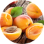 Apricot