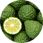 Bergamot