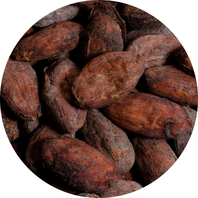 Cacao