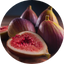 Fig