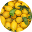 Sicilian Lemon