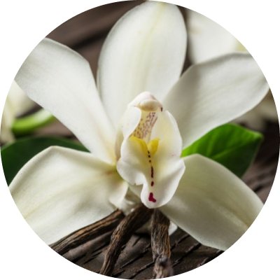 Vanilla